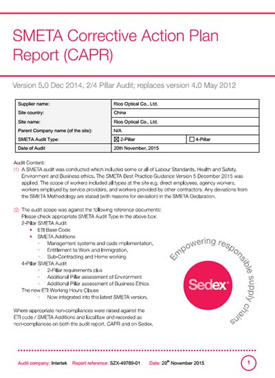 Sedex Audit Report